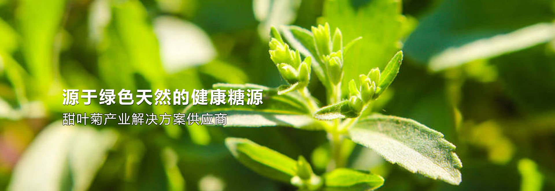 山东奥晶生物科技有限公司