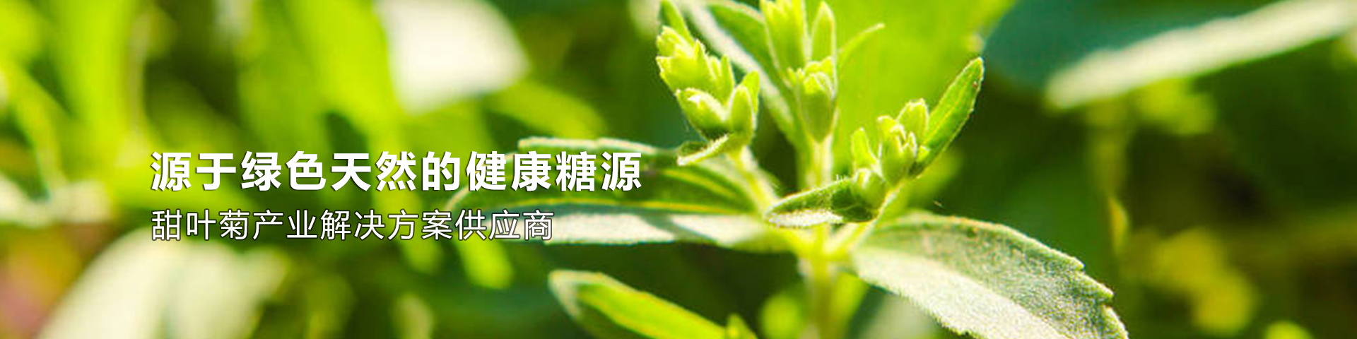 山东奥晶生物科技有限公司